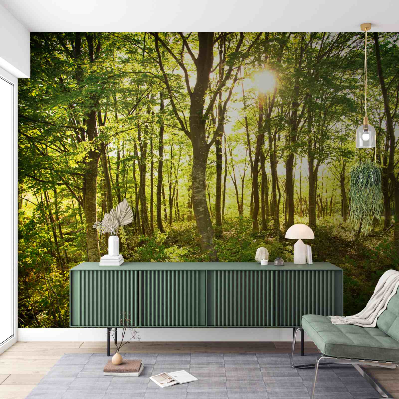 Papier peint la lumière du soleil illumine la tremblaie