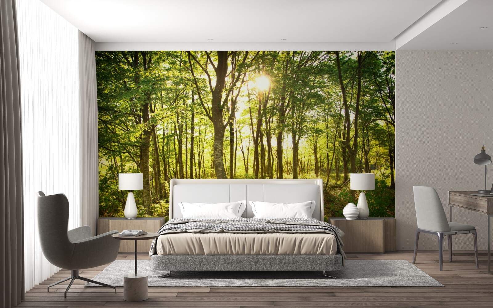 Papier peint la lumière du soleil illumine la tremblaie