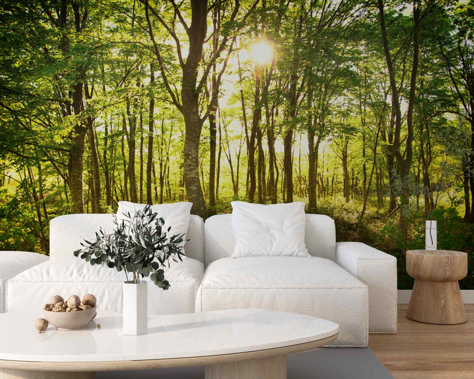 Papier peint la lumière du soleil illumine la tremblaie