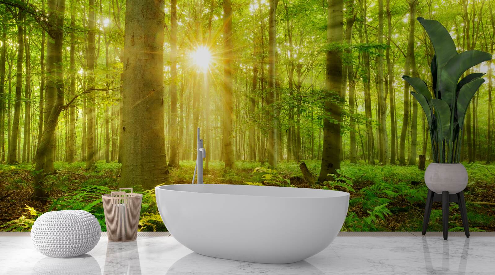 Papier peint la forêt s'anime sous le soleil du matin