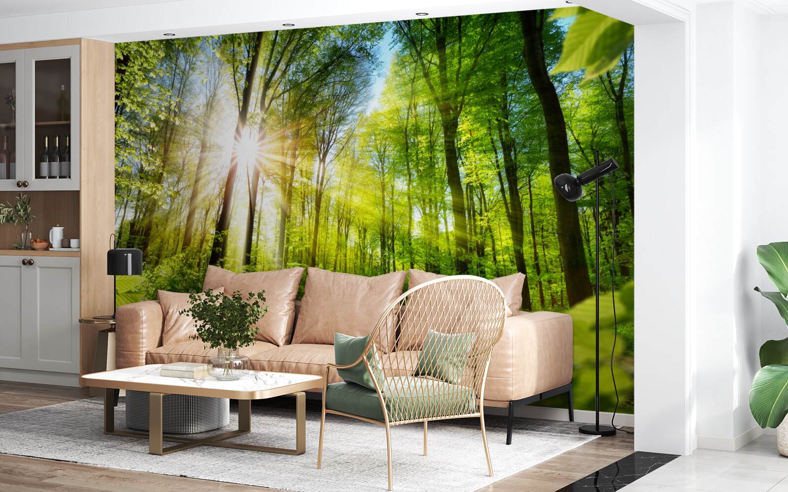 Papier peint soleil matinal dans une forêt verdoyante
