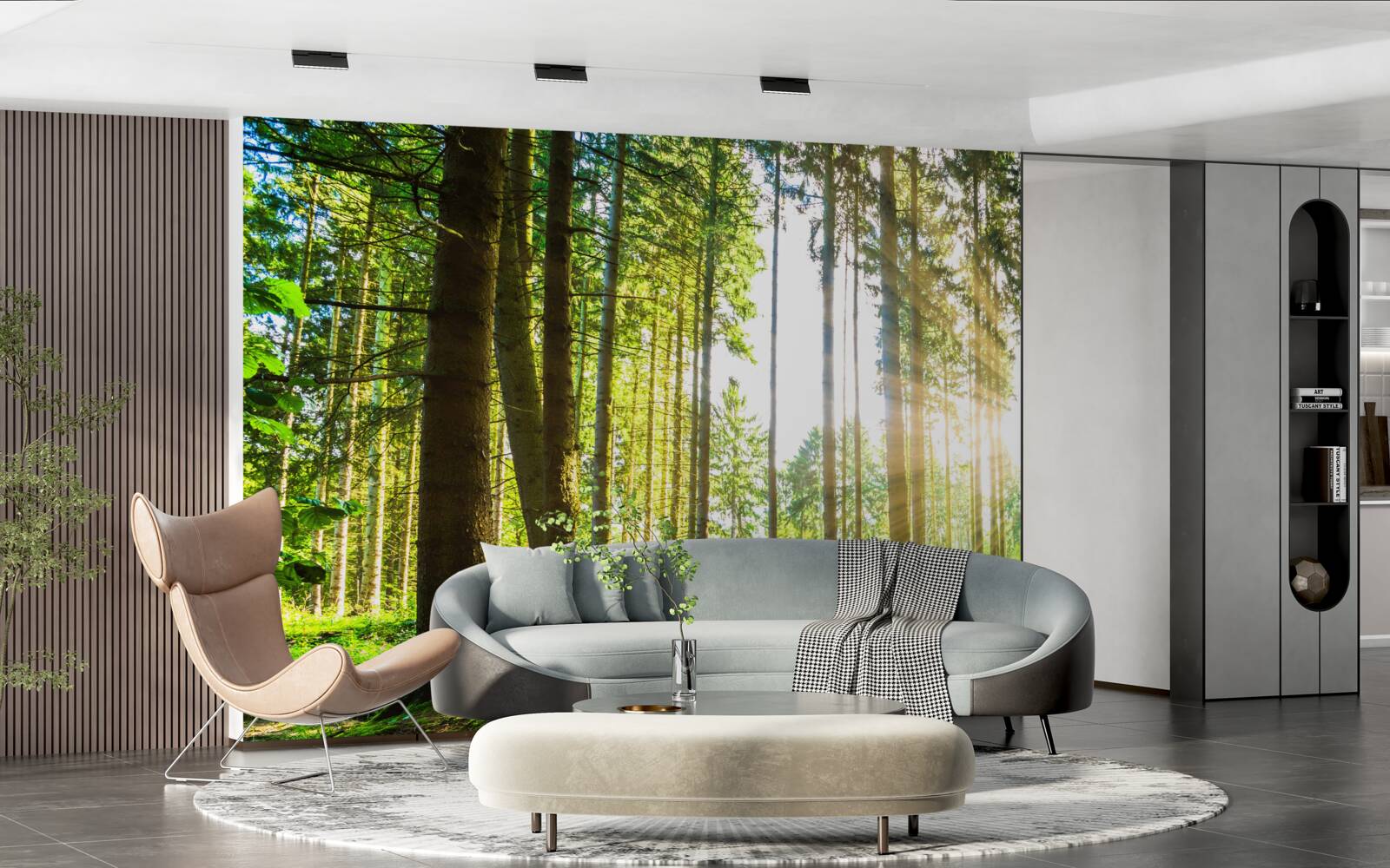 Papier peint les rayons du soleil pénètrent entre les grands arbres