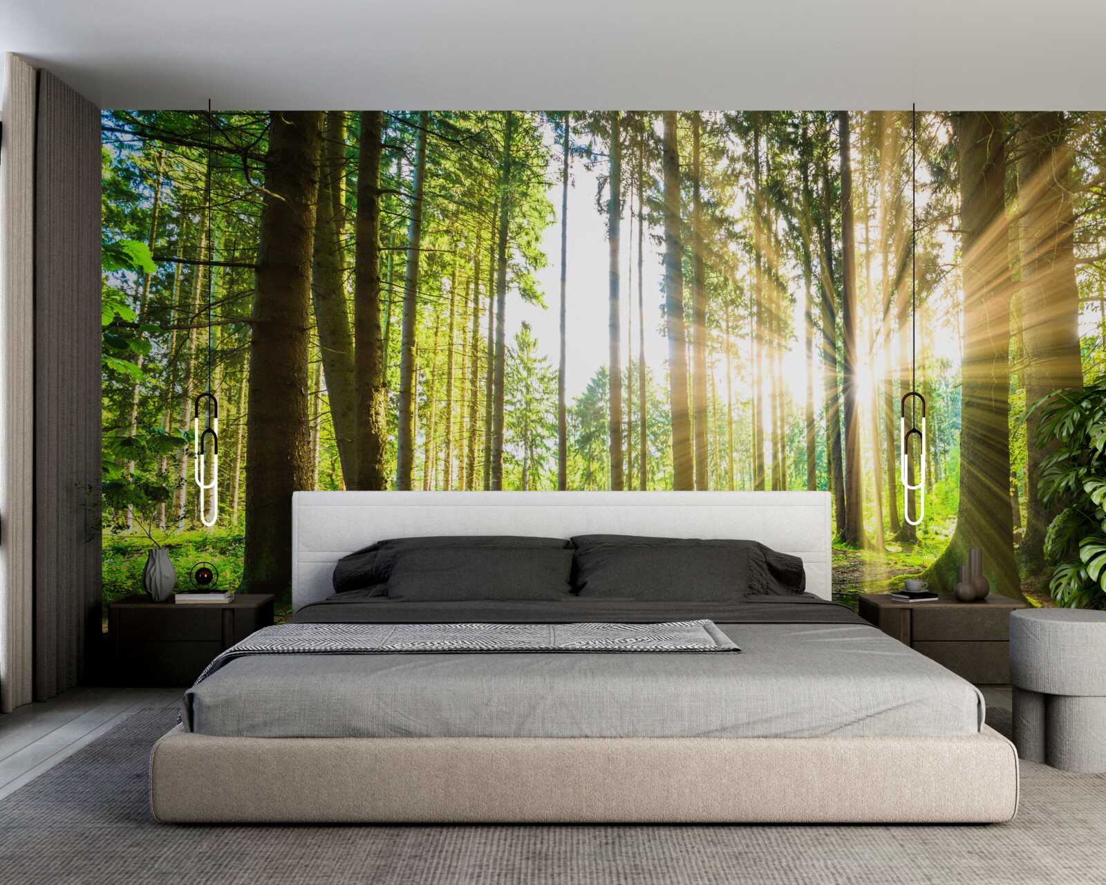 Papier peint les rayons du soleil pénètrent entre les grands arbres