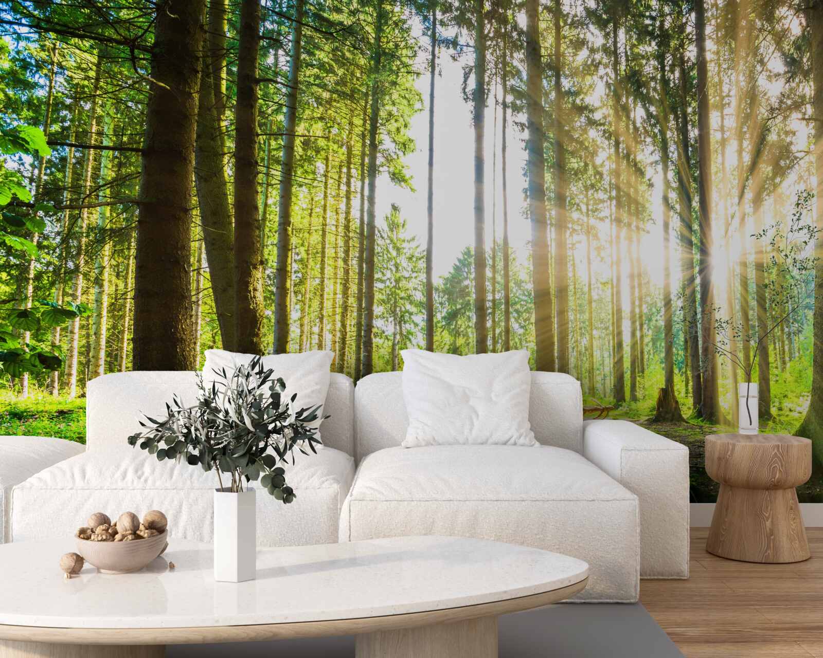 Papier peint les rayons du soleil pénètrent entre les grands arbres