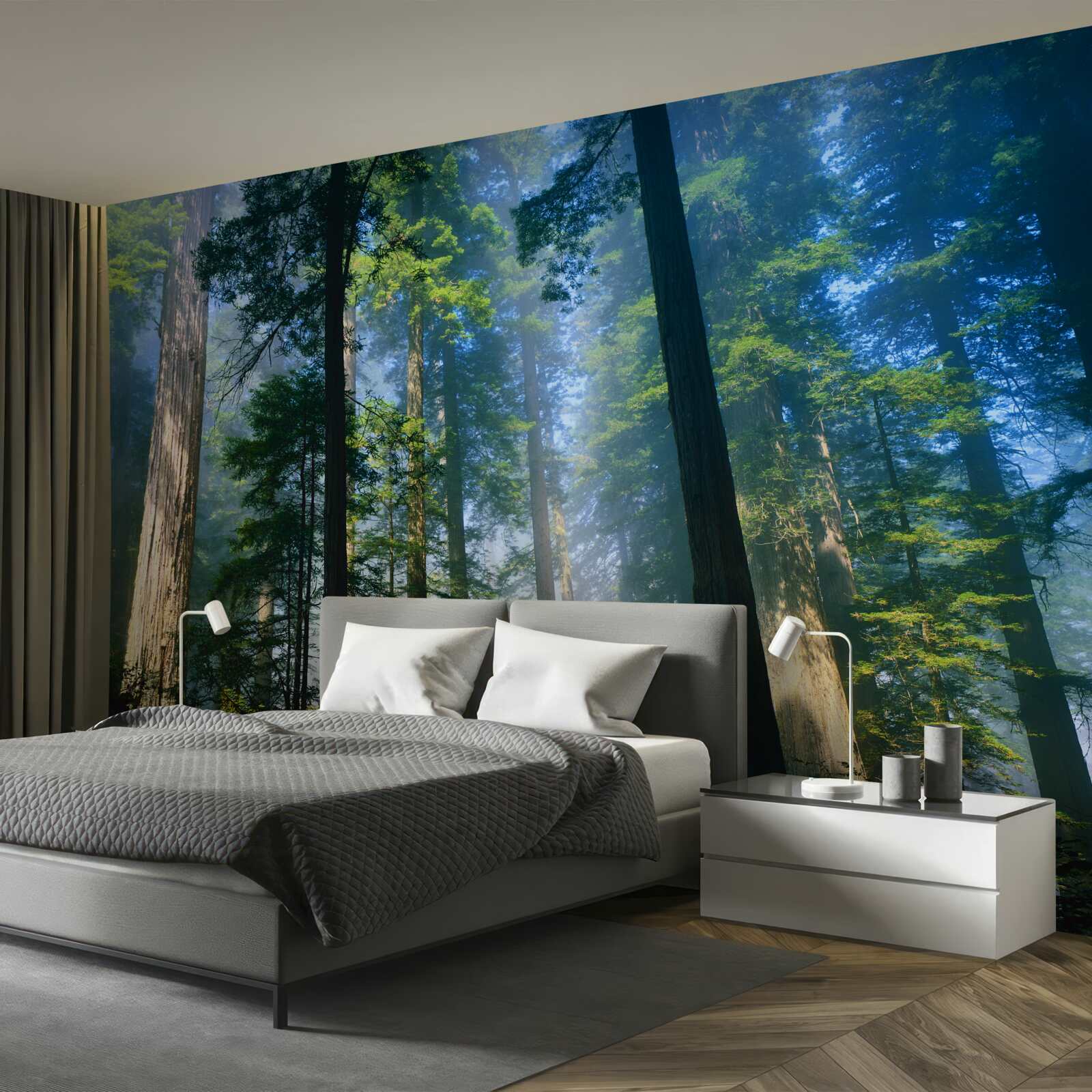 Papier peint fine couverture brumeuse entre les grands arbres de la forêt