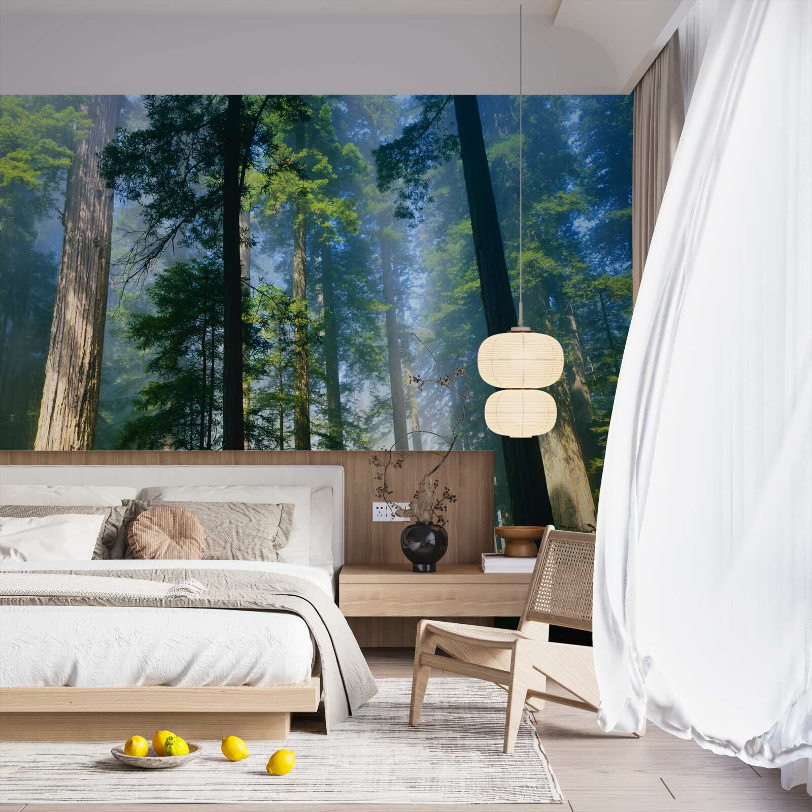 Papier peint fine couverture brumeuse entre les grands arbres de la forêt