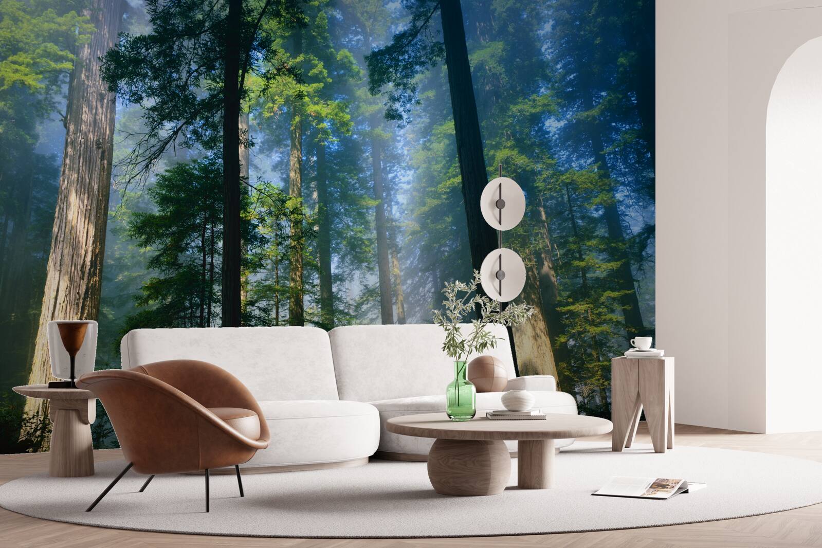 Papier peint fine couverture brumeuse entre les grands arbres de la forêt