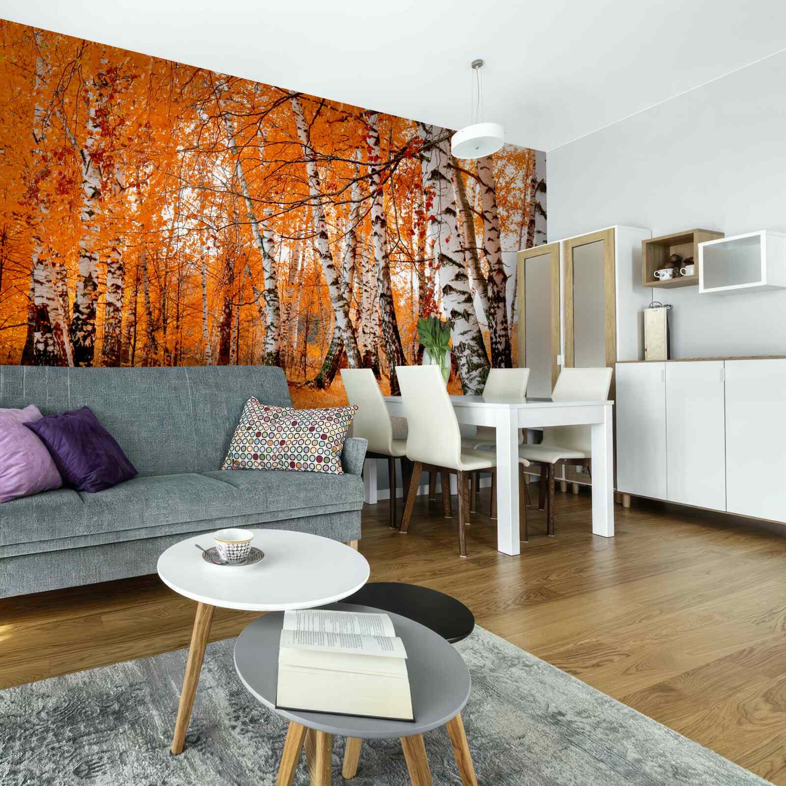 Papier peint les feuilles de bouleau sont orange