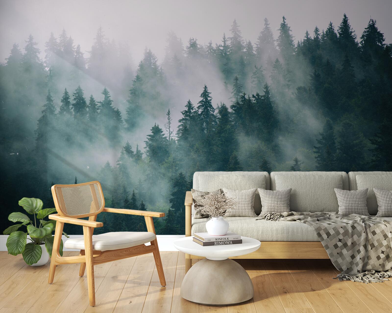 Papier peint heure matinale brumeuse dans une forêt de conifères