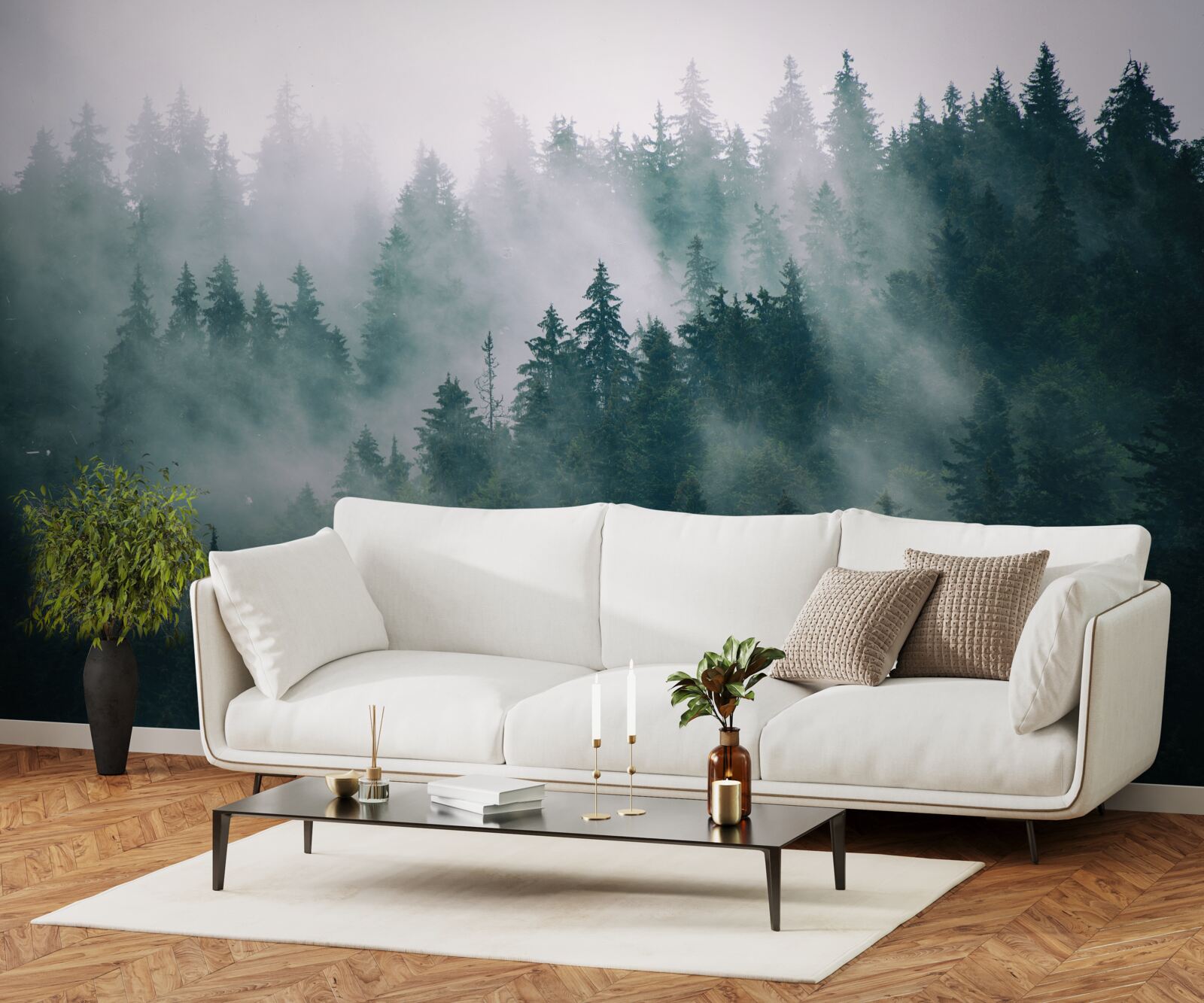 Papier peint heure matinale brumeuse dans une forêt de conifères