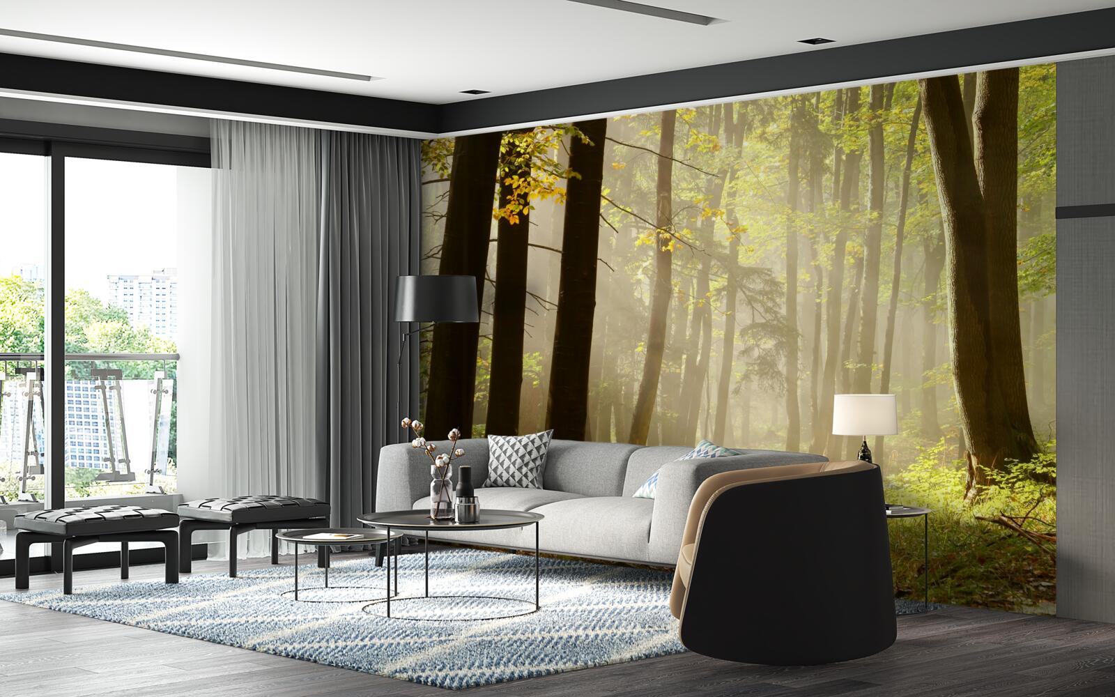 Papier peint les rayons du soleil matinal percent le brouillard dans le désert