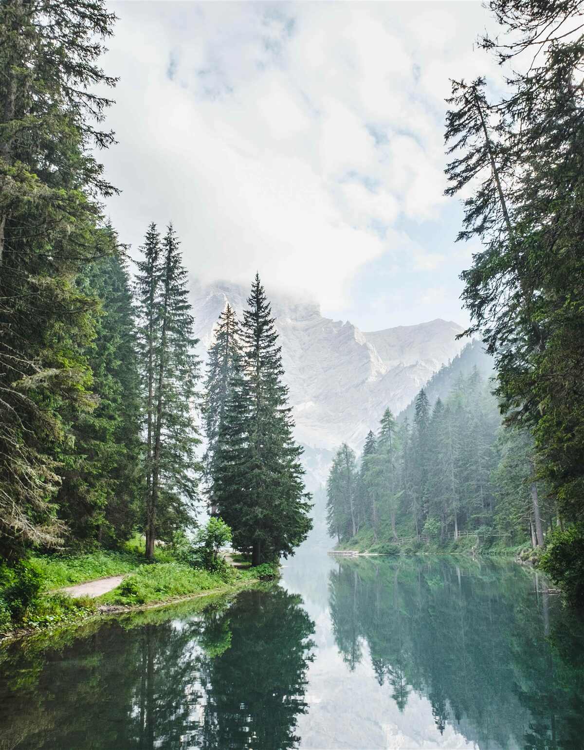 Papier peint une rivière de montagne enveloppée de brume coule silencieusement