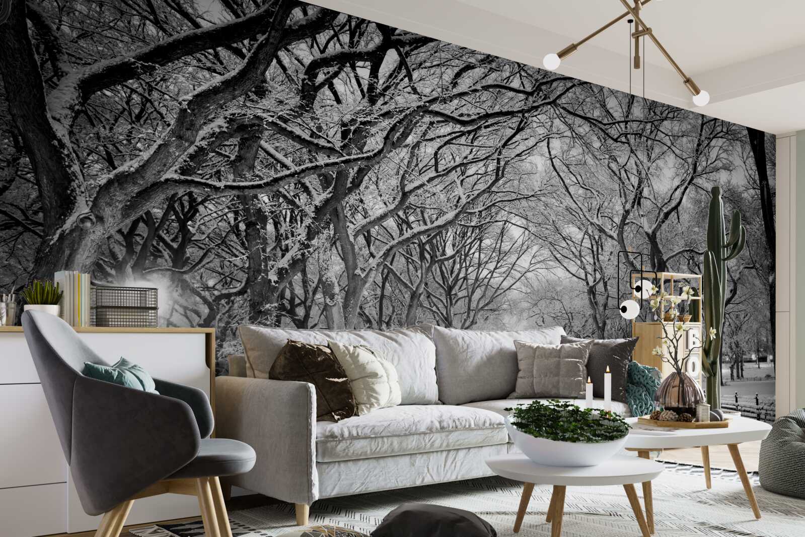 Papier peint Chemin enneigé entre les arbres