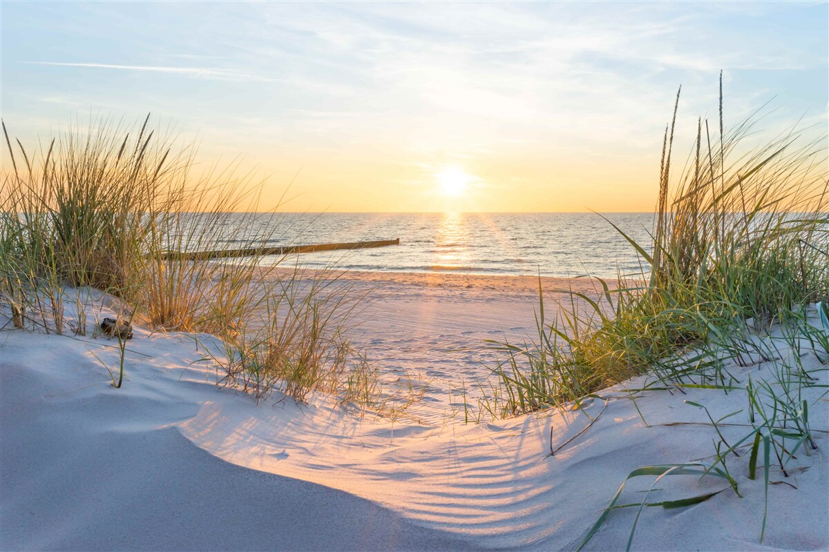 Papier peint la plage de sable est agrémentée d'herbe verte