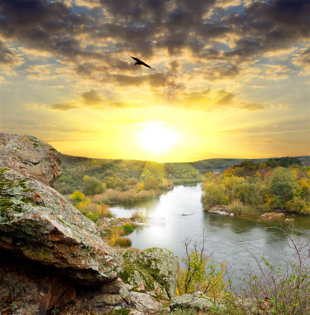 Papier peint le soleil d'automne se transforme en un coucher de soleil frais