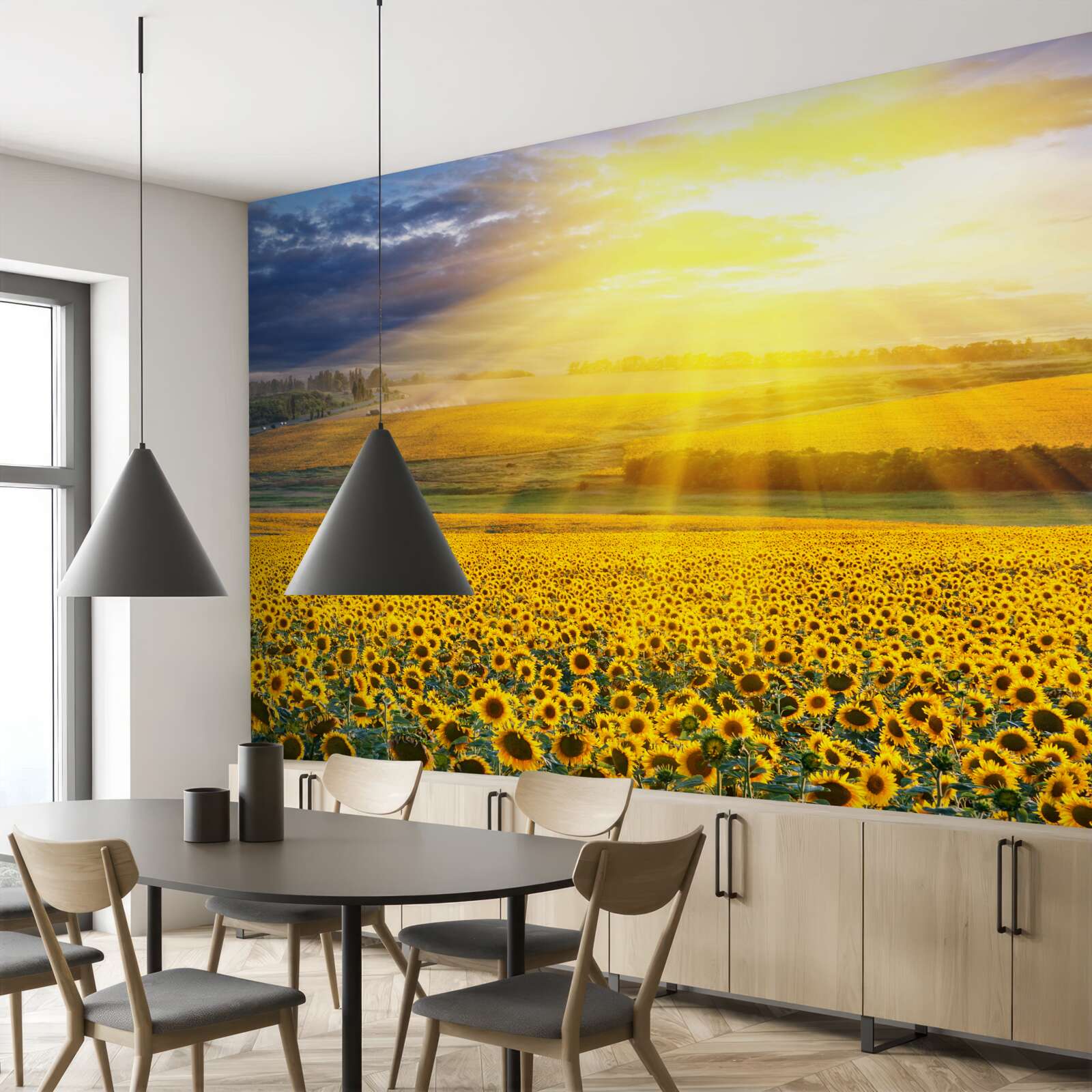 Papier peint le soleil est éclatant sur un champ de tournesols luxuriants