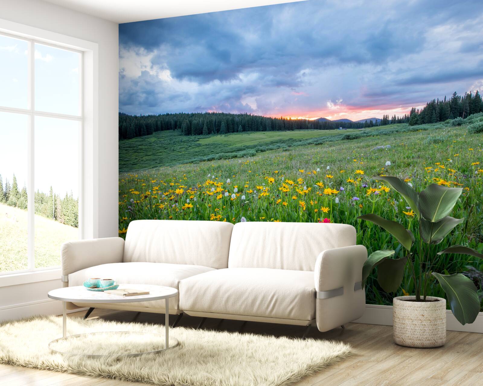 Papier peint plantes de prairie