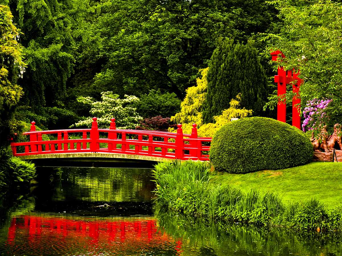 Papier peint pont rouge dans le jardin japonais