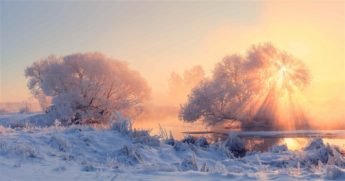 Papier peint matinée d'hiver dans le froid