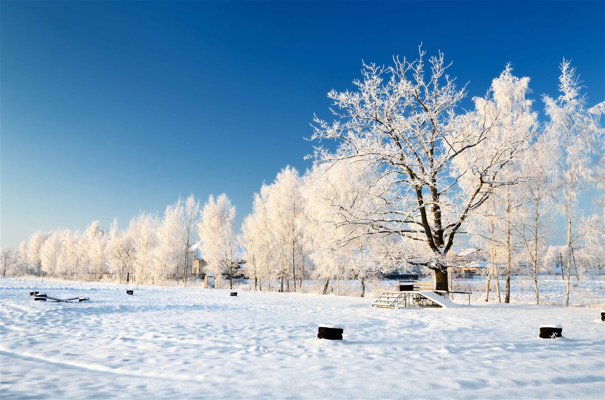 Papier peint hiver féerique sur fond de ciel azur