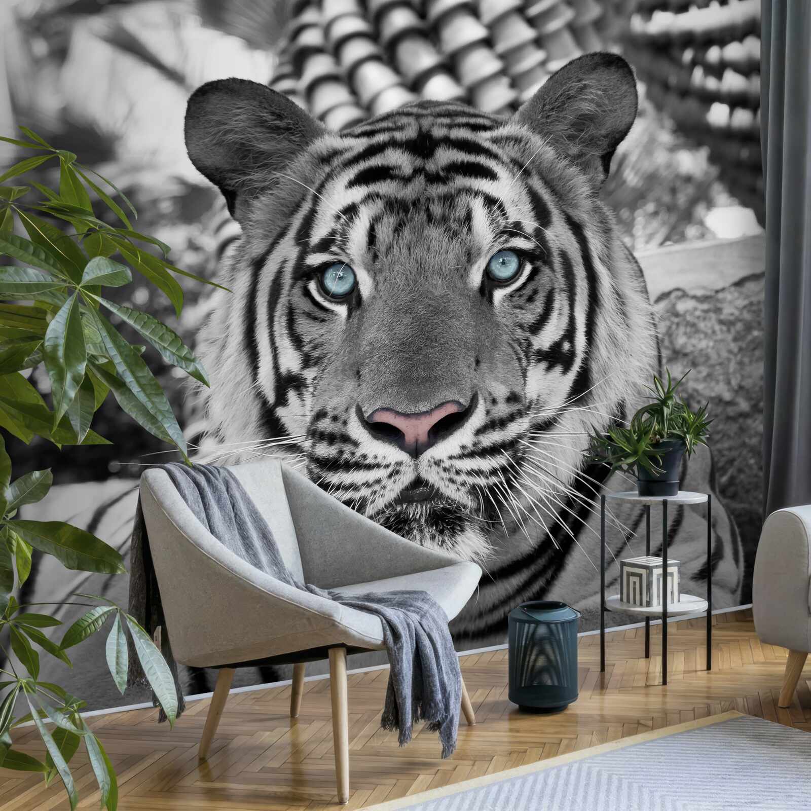 Papier peint tigre noir et blanc aux beaux yeux bleus
