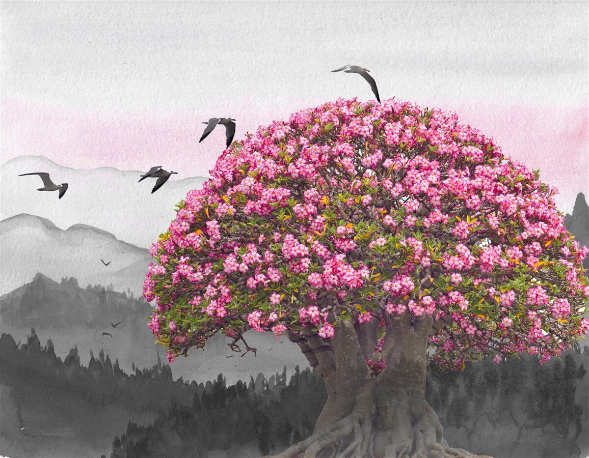 Papier peint des oiseaux survolent un arbre en fleurs
