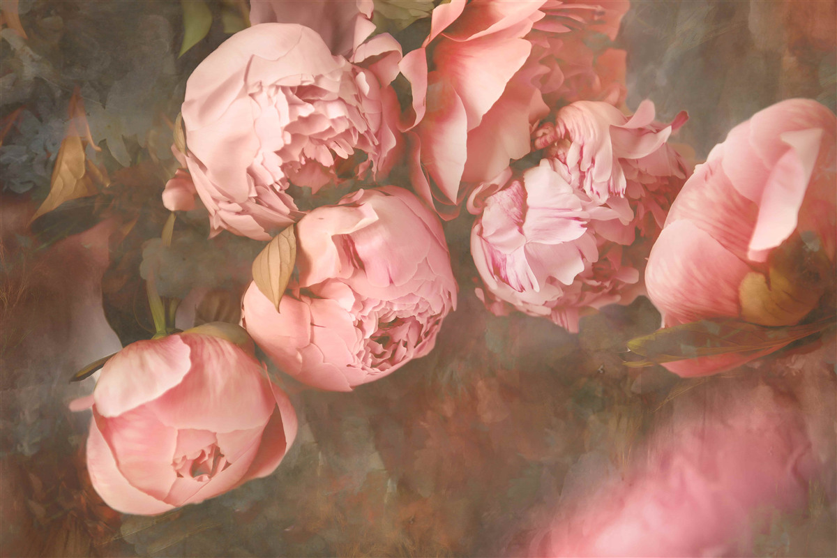 Papier peint pivoines roses dans des tons délicats