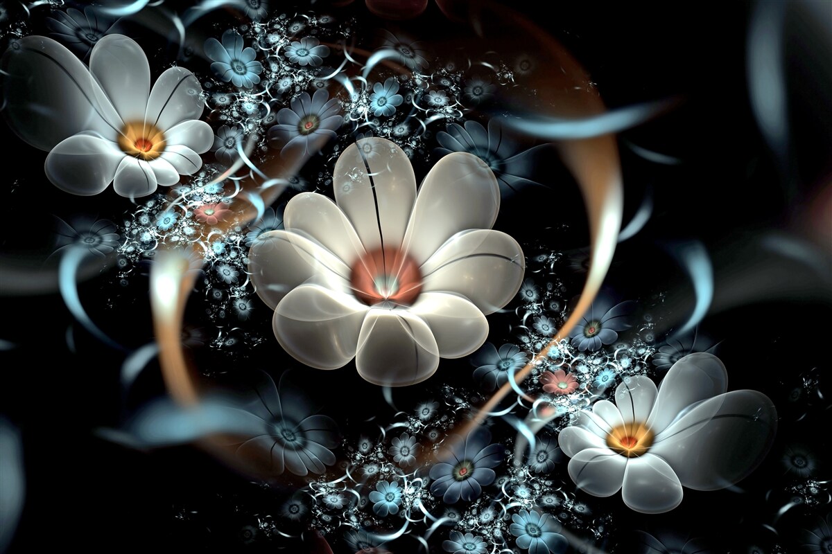 Papier peint les grandes fleurs sont blanches