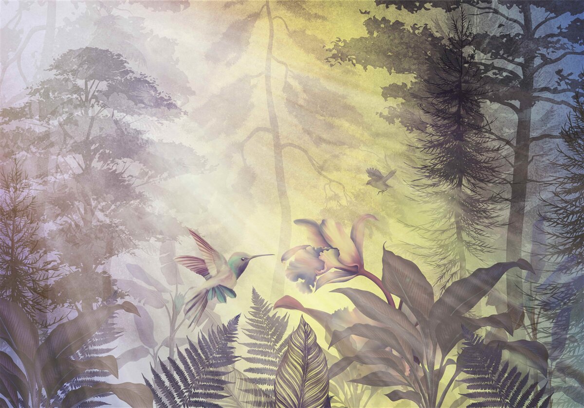 Papier peint une forêt d'arbres à feuilles caduques sous les rayons du soleil