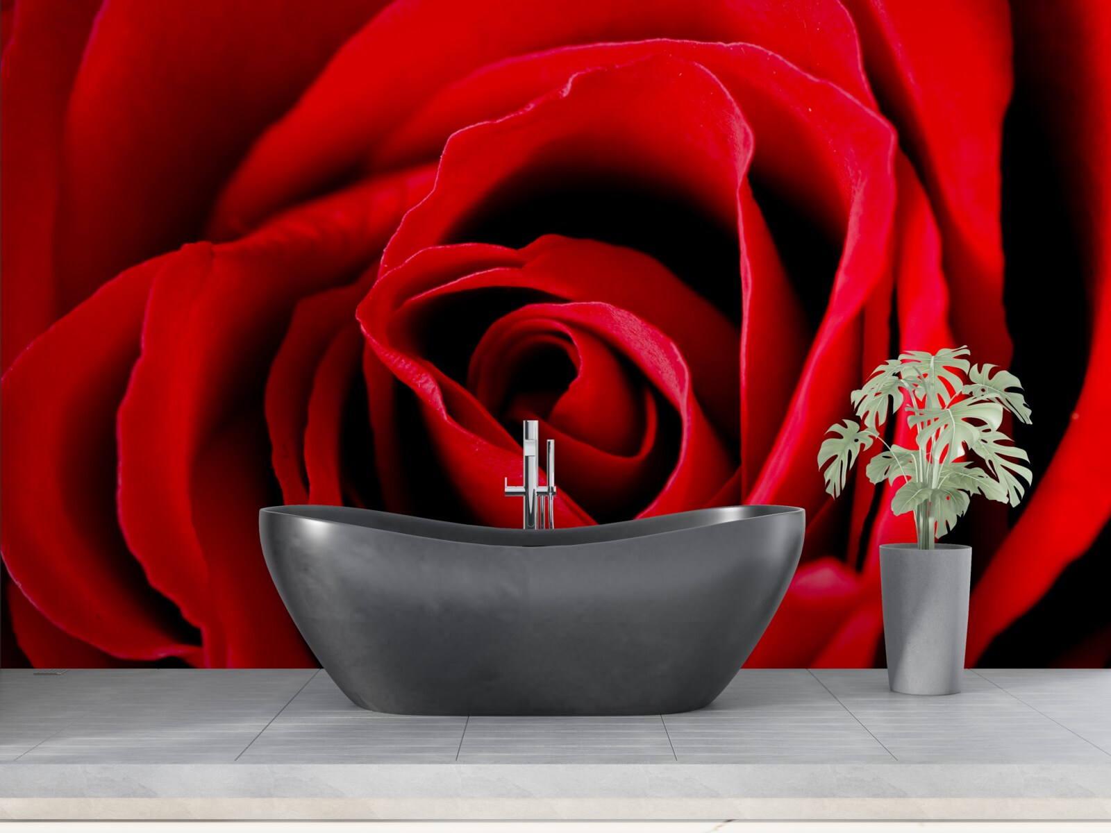 Papier peint magnifique rose écarlate