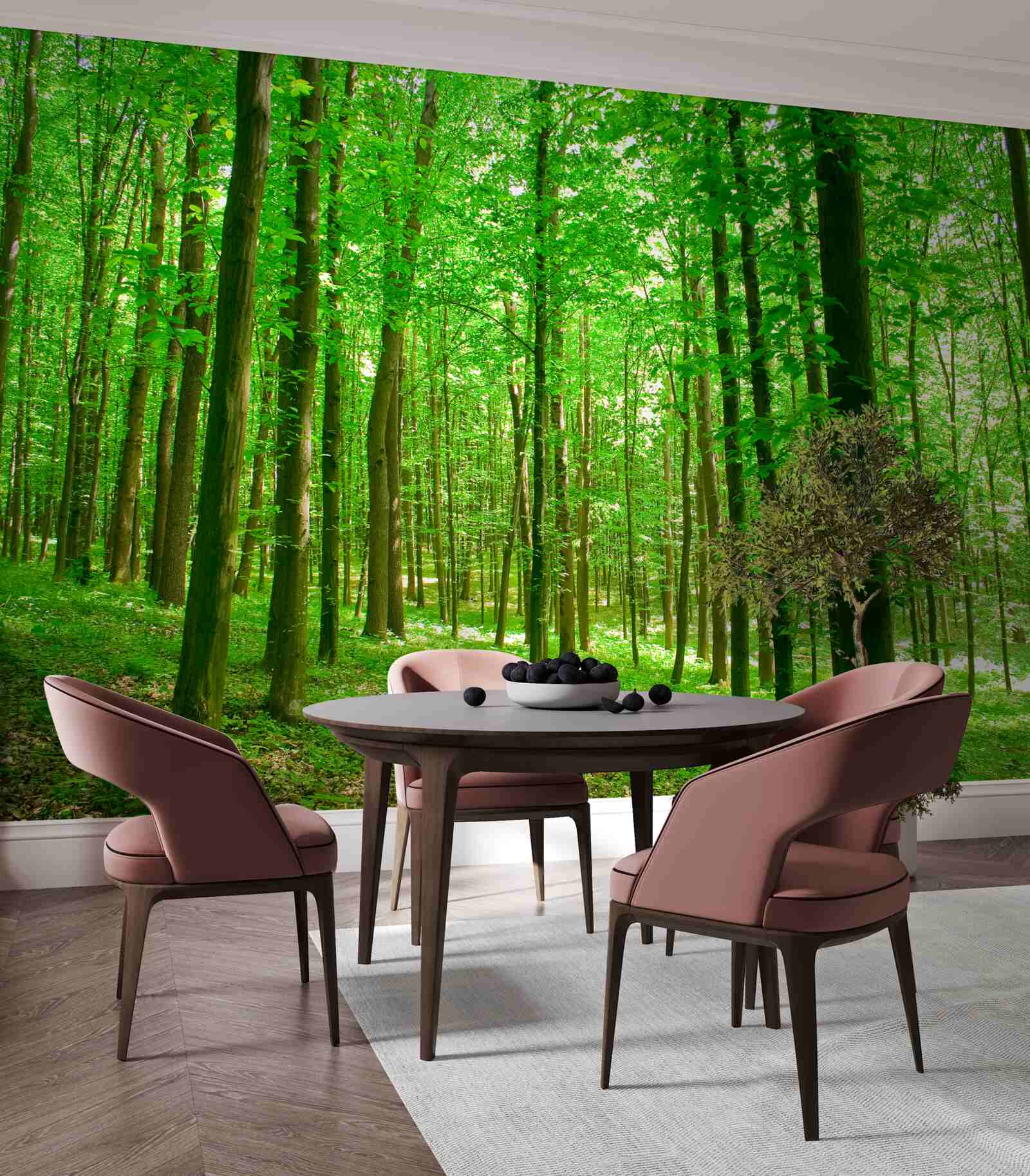 Papier peint forêt d'été clairsemée avec des arbres à feuilles caduques