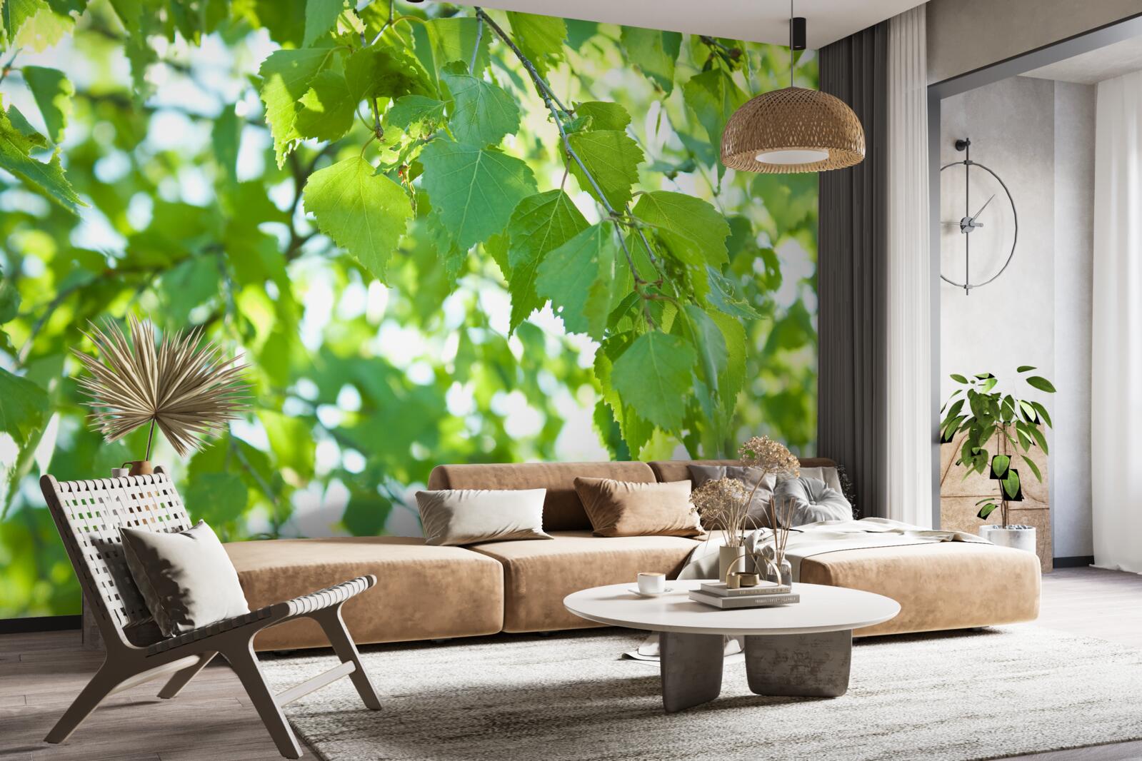 Papier peint feuilles de bouleau sur fond de ciel bleu