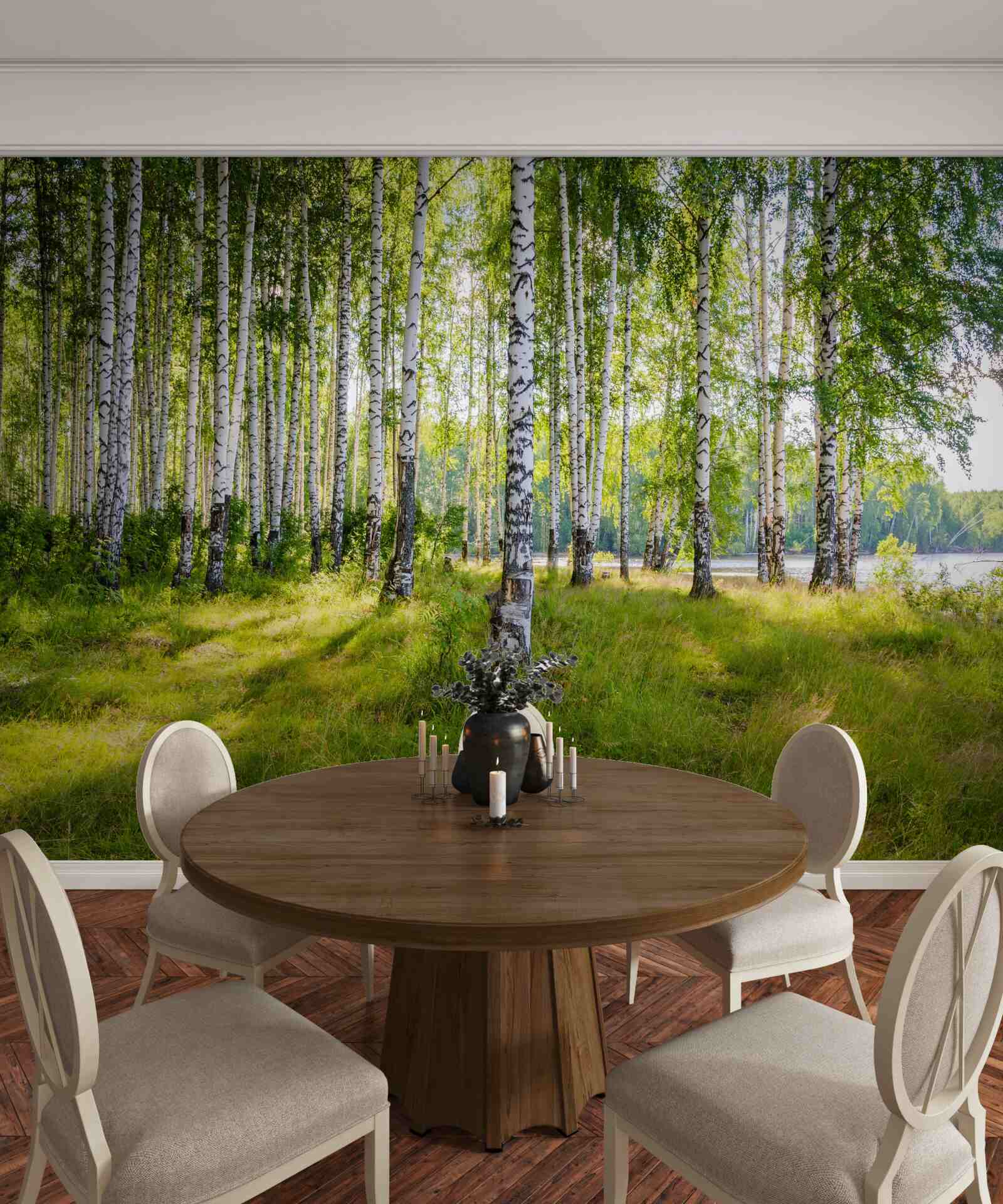 Papier peint Aube dans le maquis de bouleaux verts