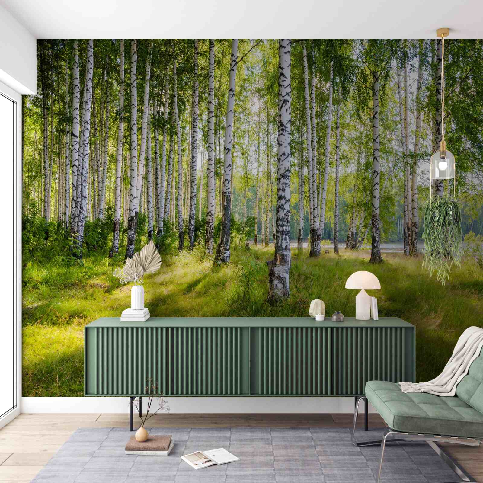 Papier peint Aube dans le maquis de bouleaux verts