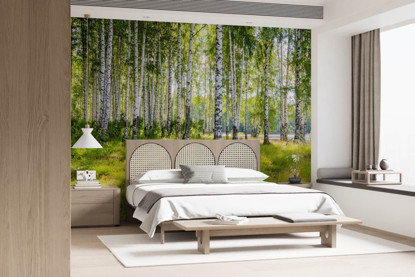 Papier peint Aube dans le maquis de bouleaux verts