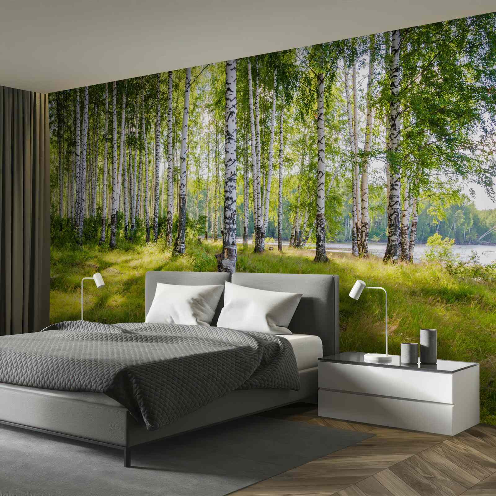 Papier peint Aube dans le maquis de bouleaux verts