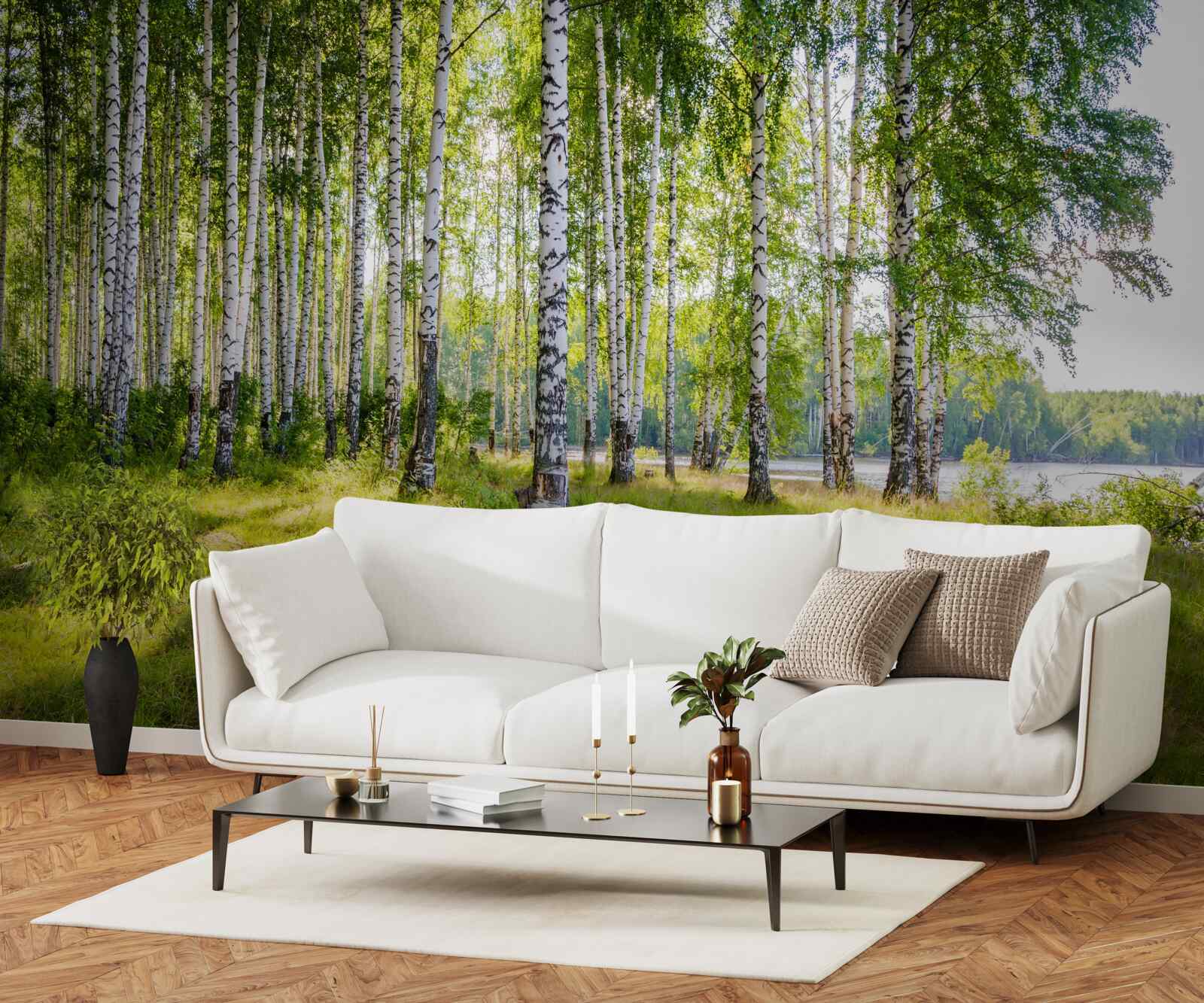 Papier peint Aube dans le maquis de bouleaux verts