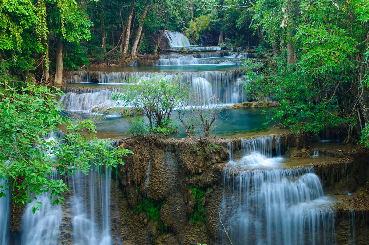 Papier peint les chutes d'eau qui tombent majestueusement dans les ruisseaux de la forêt forment une cascade