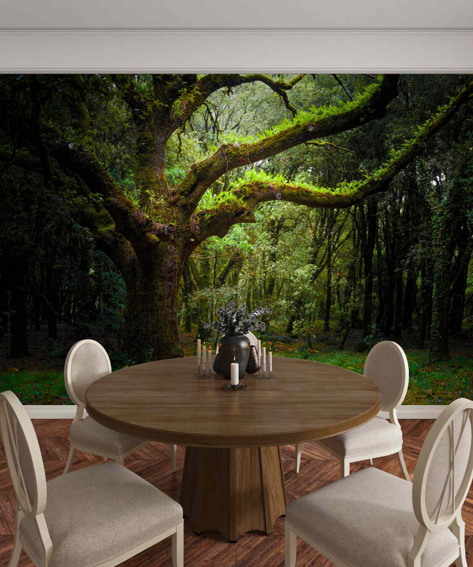 Papier peint forêt ancienne hirsute avec des arbres denses