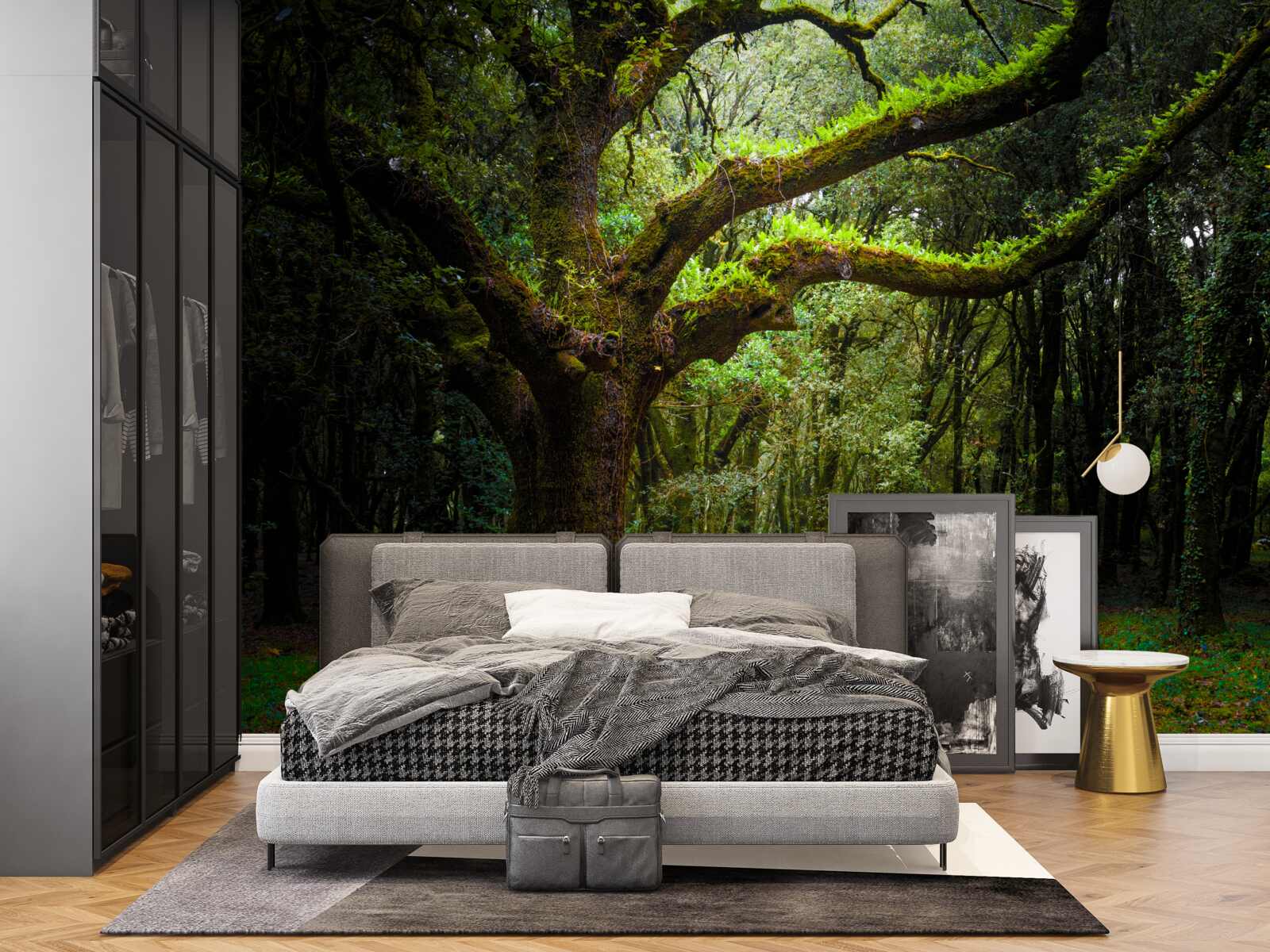 Papier peint forêt ancienne hirsute avec des arbres denses