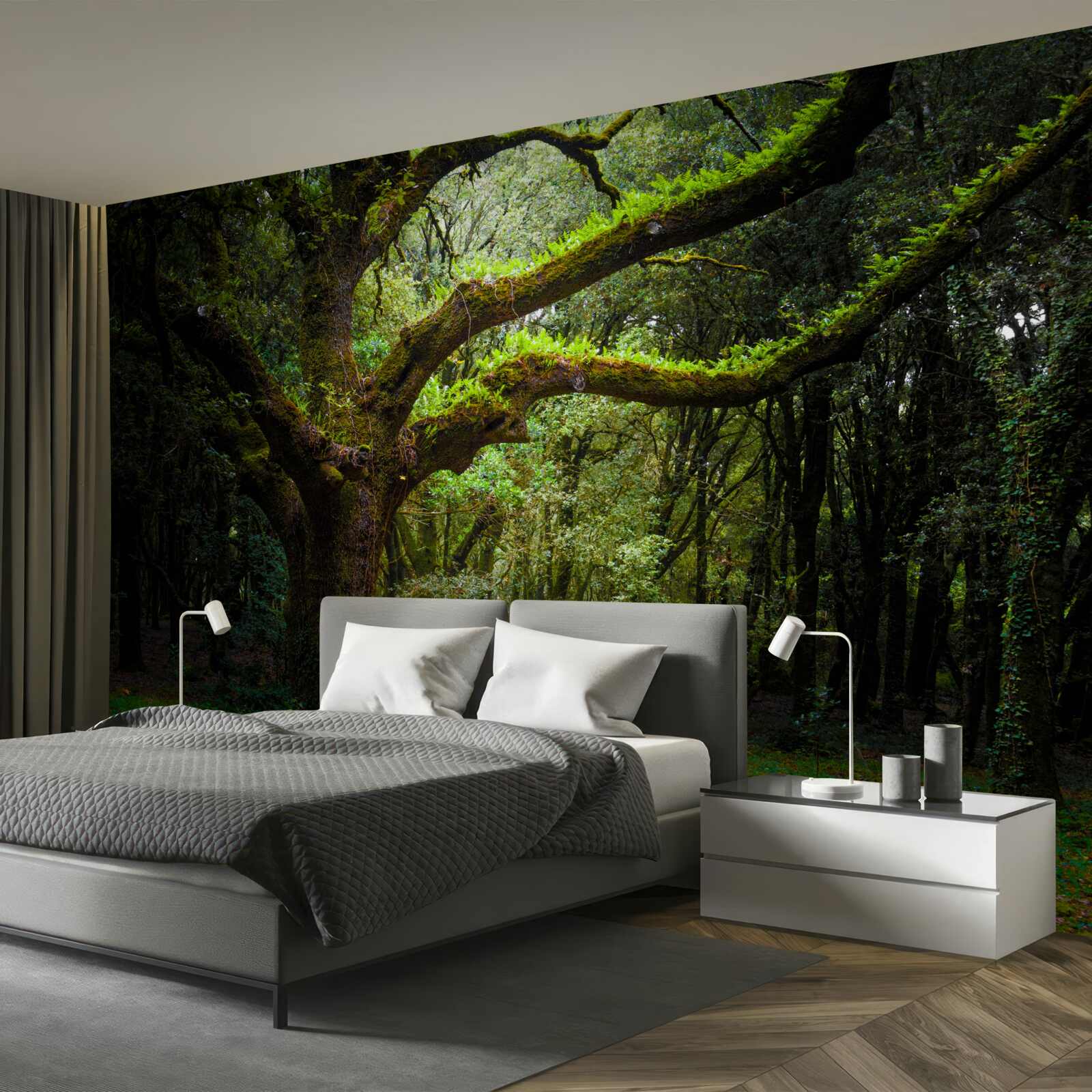 Papier peint forêt ancienne hirsute avec des arbres denses