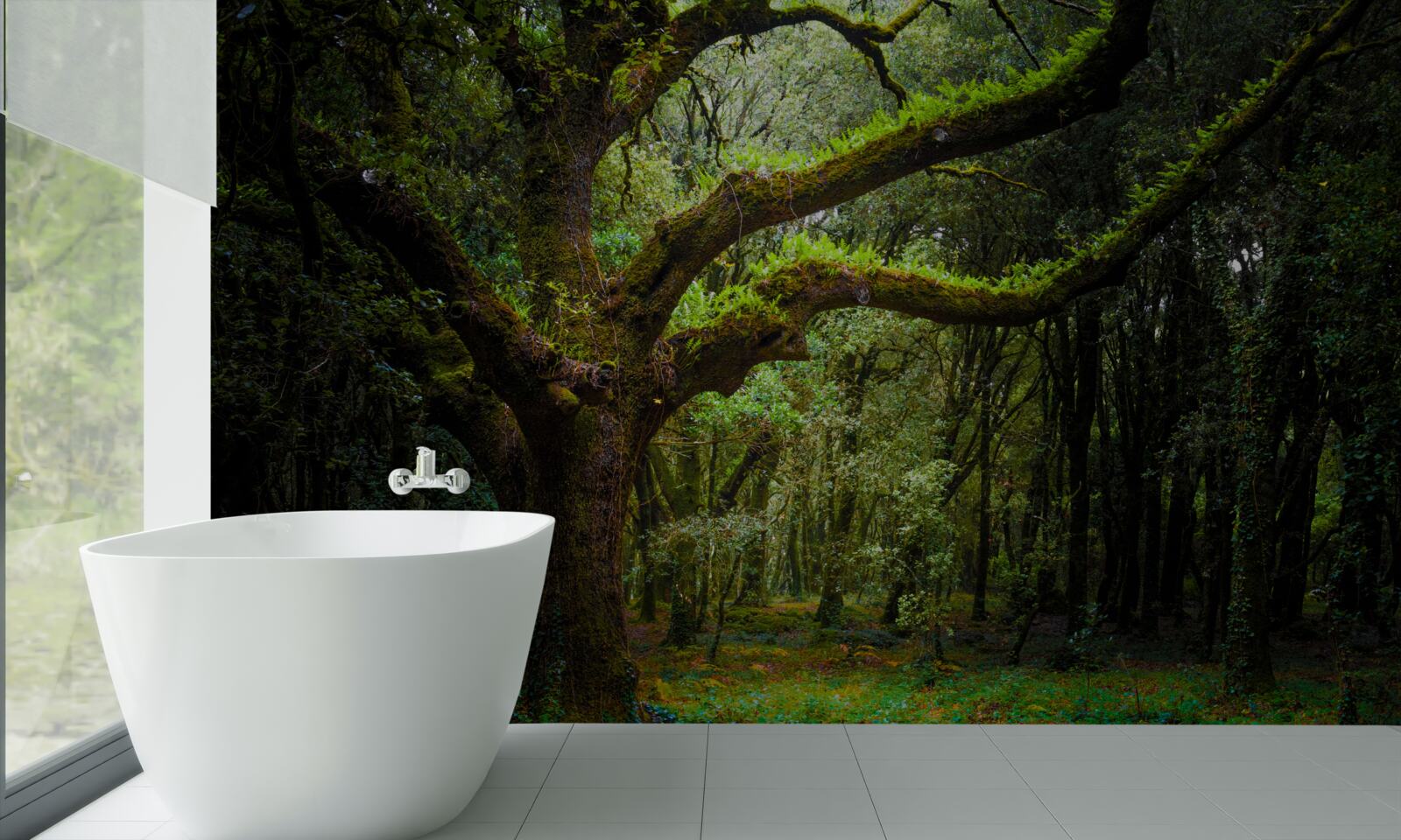 Papier peint forêt ancienne hirsute avec des arbres denses