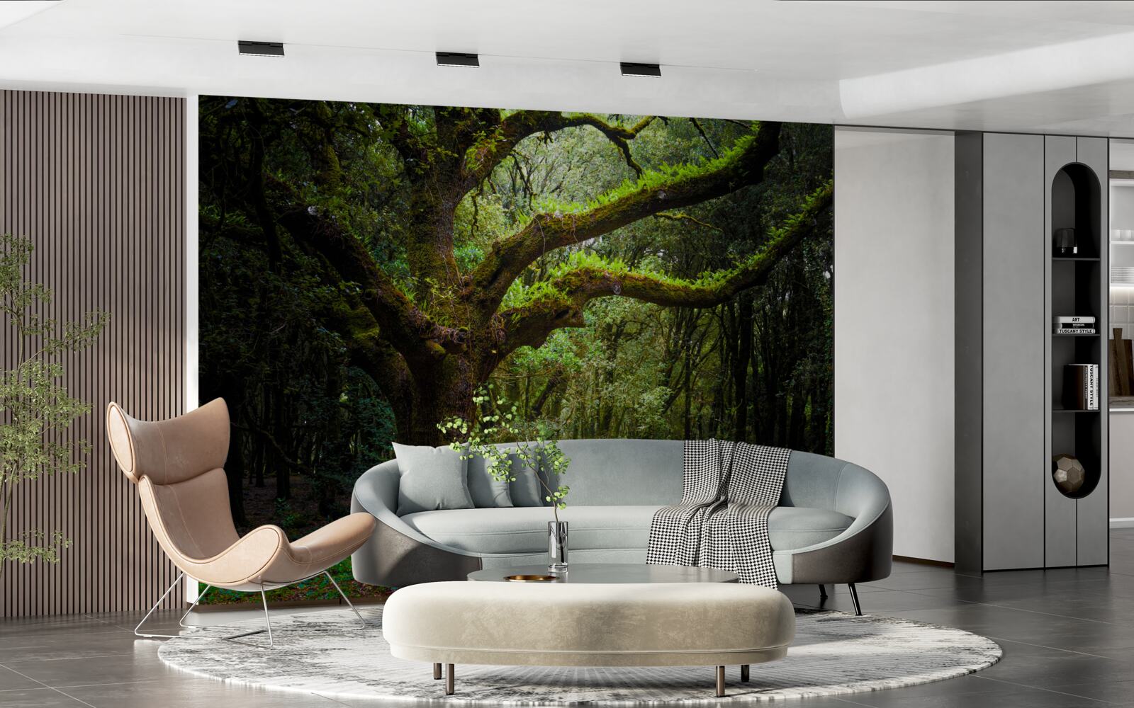 Papier peint forêt ancienne hirsute avec des arbres denses