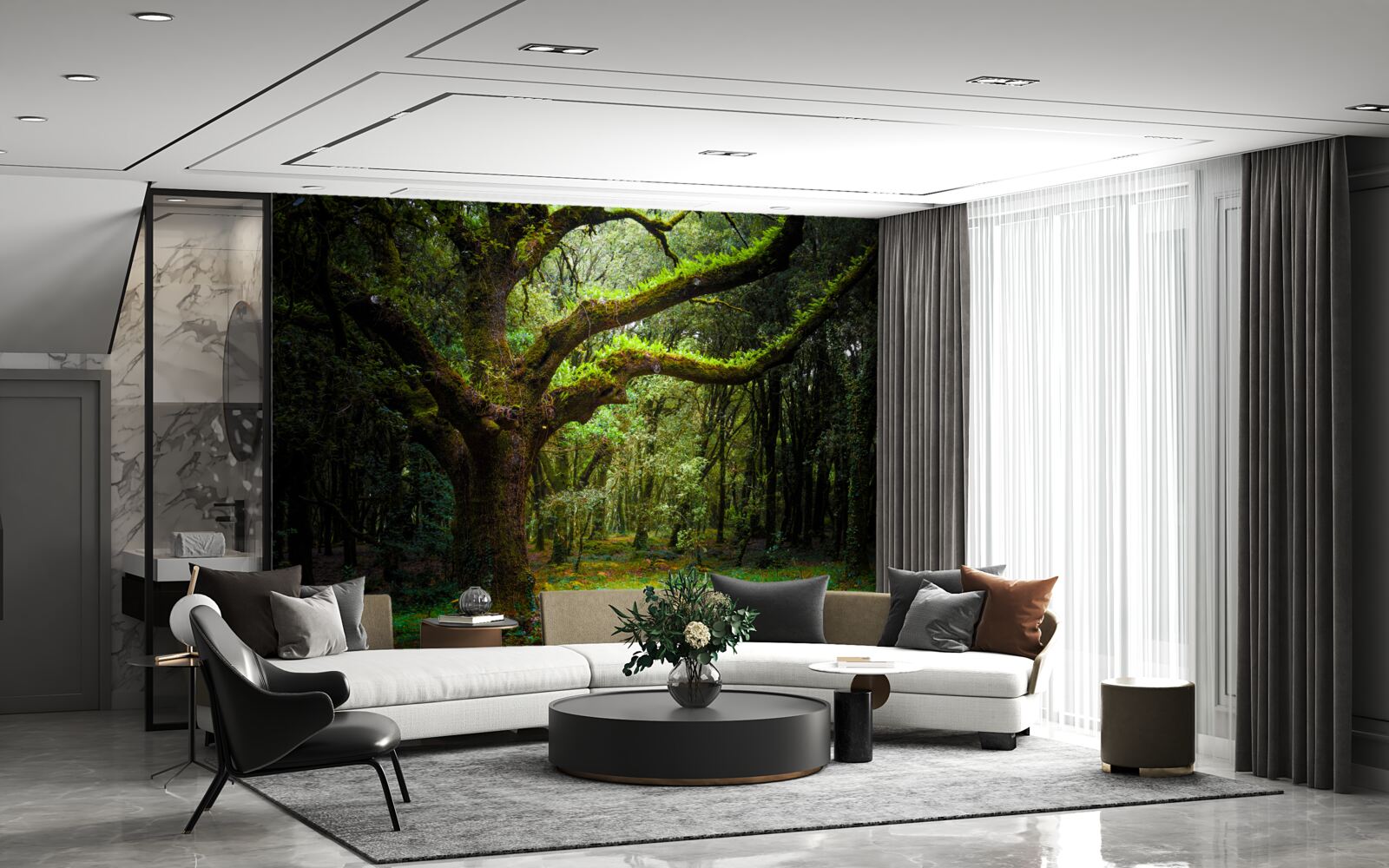 Papier peint forêt ancienne hirsute avec des arbres denses