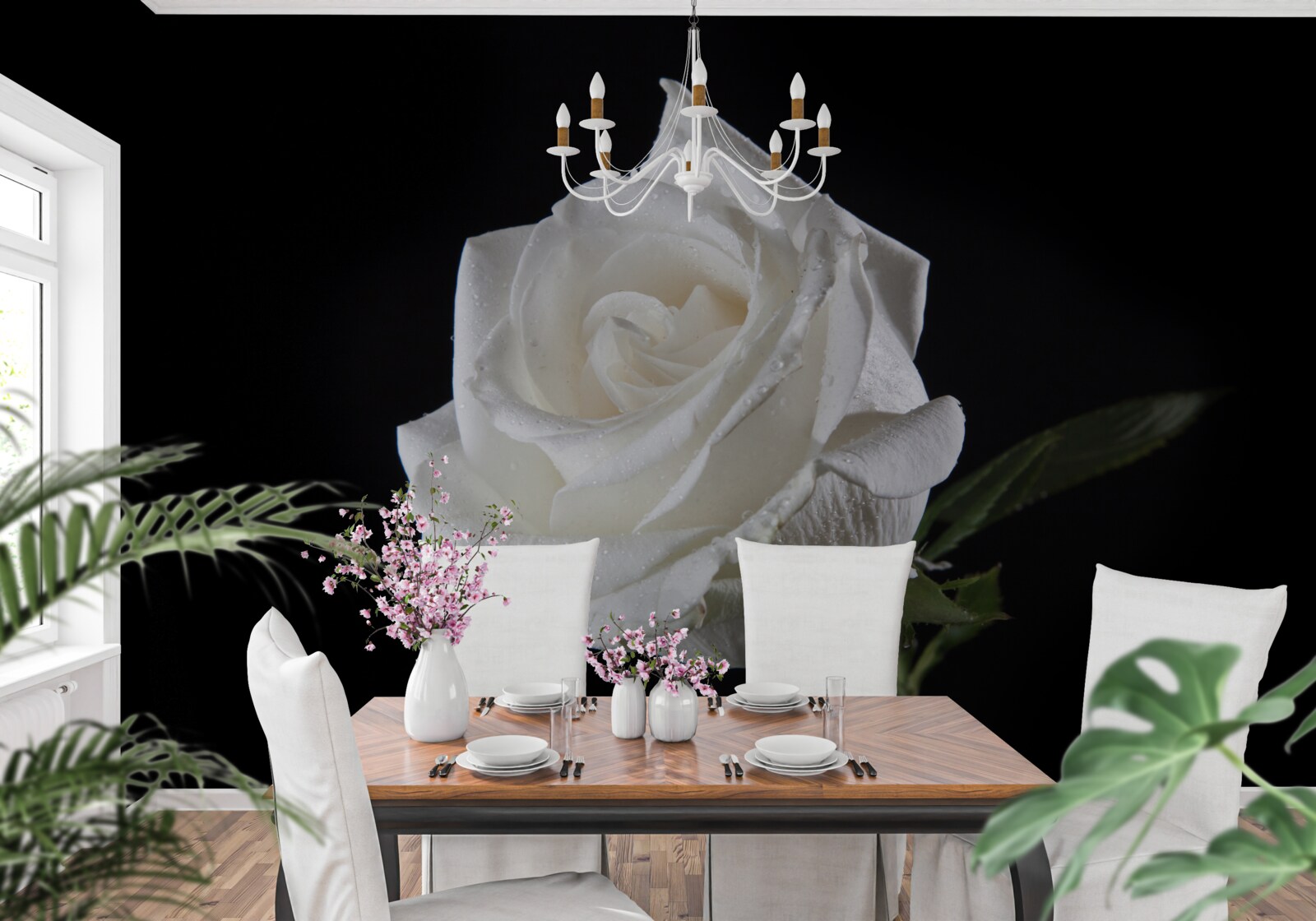 Papier peint le fond noir fait ressortir le blanc de la rose