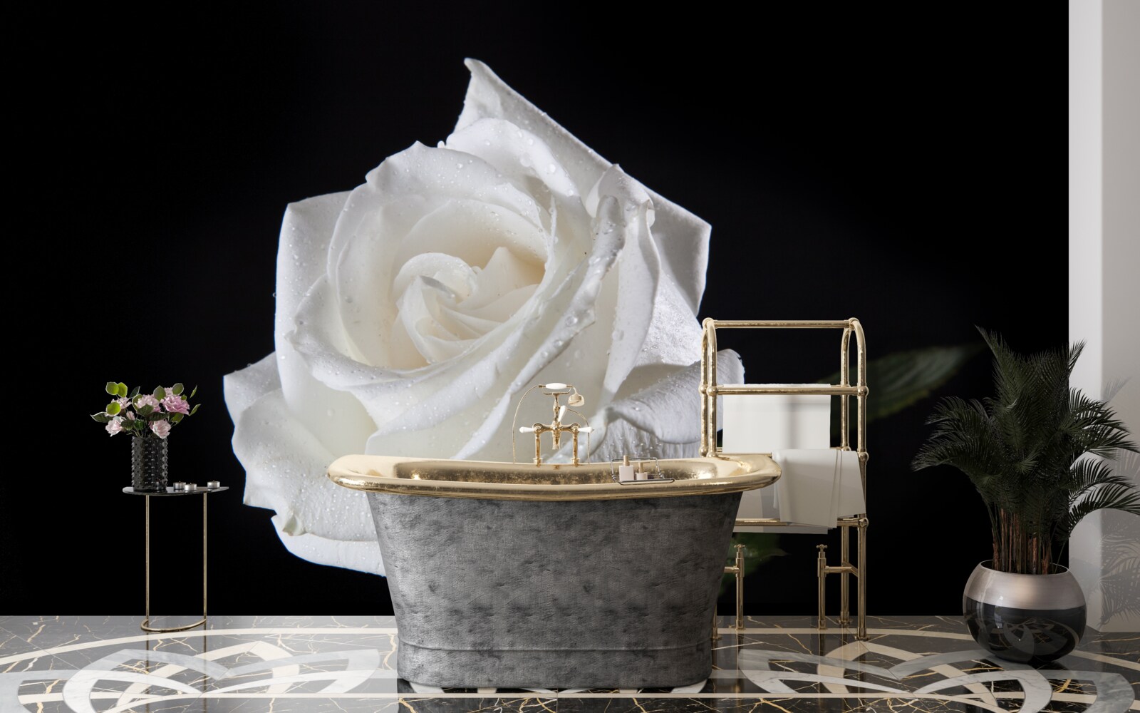 Papier peint le fond noir fait ressortir le blanc de la rose