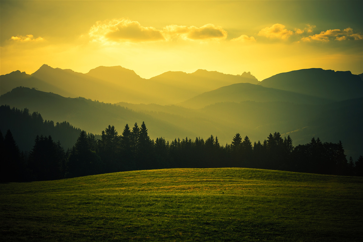 Papier peint Coucher de soleil jaune dans une forêt de montagne enfumée