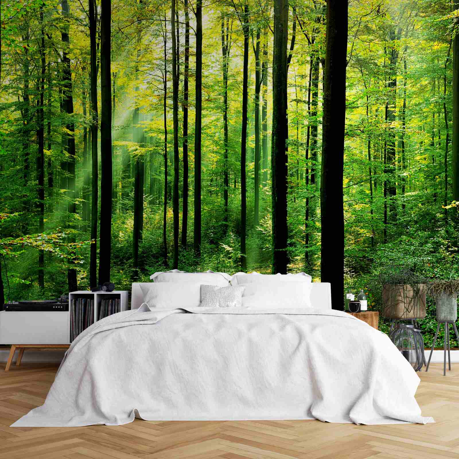 Papier peint terrasse avec accès à une pinède