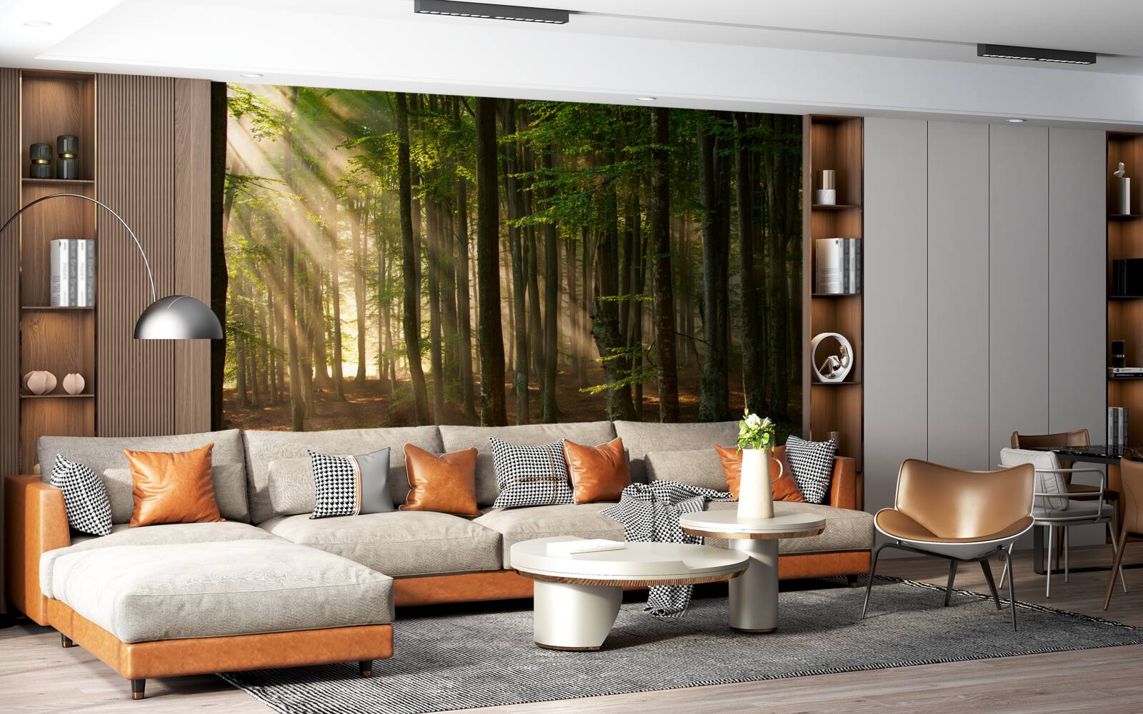 Papier peint Le soleil chasse le froid de la forêt après une nuit passée dehors