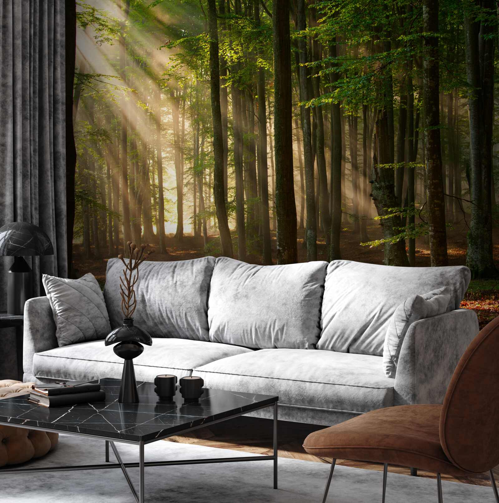 Papier peint Le soleil chasse le froid de la forêt après une nuit passée dehors